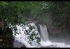 Green forest, gushing water - Enroute to Thekkady 
